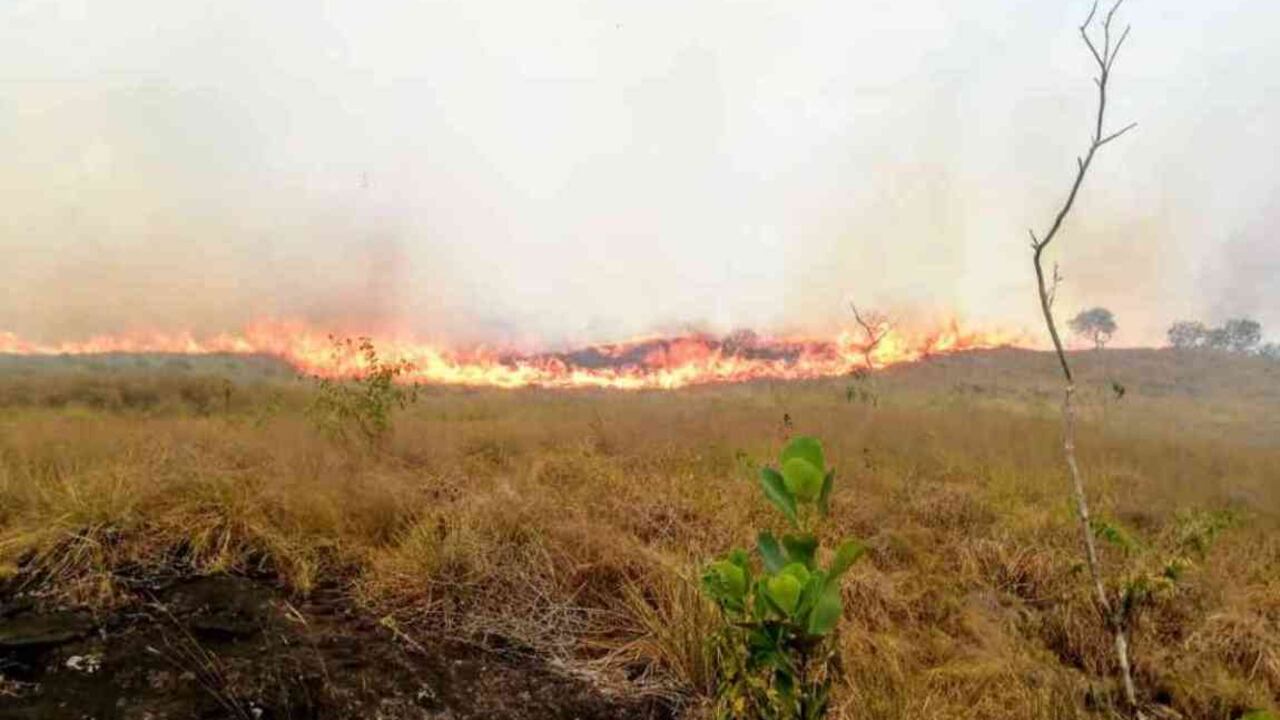 Más de 24 horas duró el incendio forestal en inmediaciones de la Serranía de La Lindosa, en San José del Guaviare, cerca de 300 hectáreas de arbustos y herbazales quedaron calcinadas. Foto: Cuerpo de Bomberos San José del Guaviare.