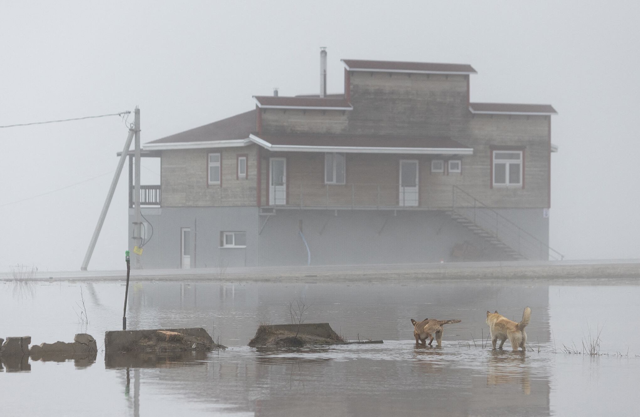 Fotos de la semana 31 marzo