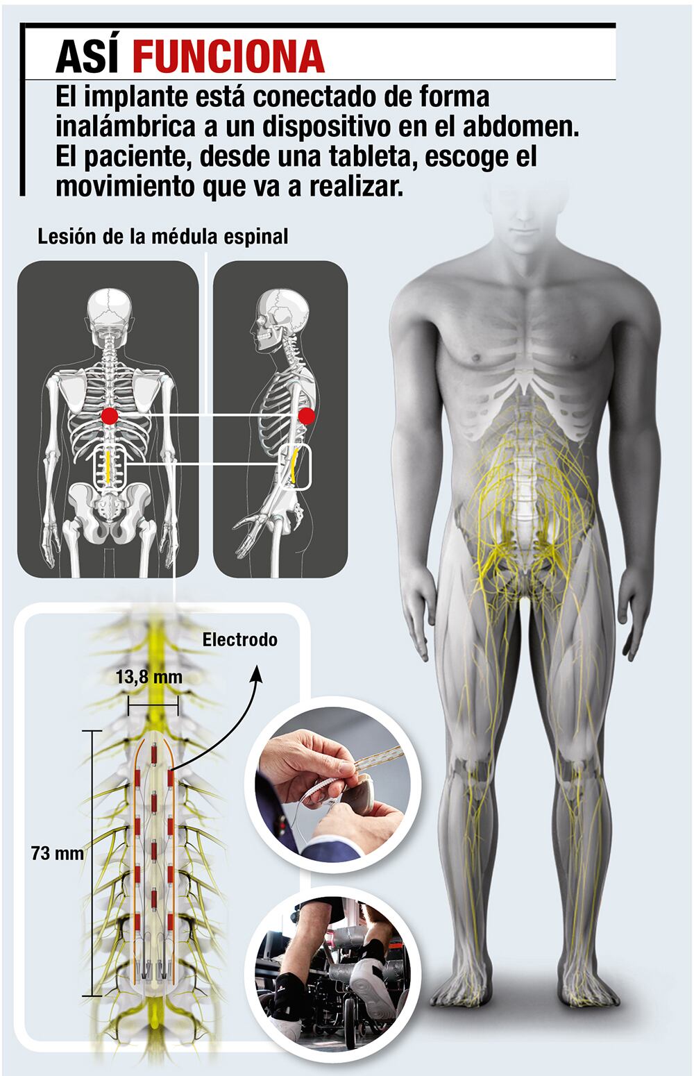 ¡Volvieron a caminar!_3