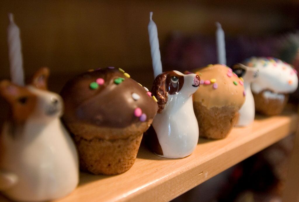 Mohnton (Estados Unidos): golosinas de cumpleaños y candelabros de cerámica para perros para el cumpleaños de su mascota. Godfrey's en la Ruta 625 vende mucha parafernalia para perros. 200601660 27 de julio de 2006 Foto de Jeremy Drey (Foto de Jeremy Drey/MediaNews Group/Reading Eagle vía Getty Images)