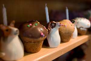 Mohnton (Estados Unidos): golosinas de cumpleaños y candelabros de cerámica para perros para el cumpleaños de su mascota. Godfrey's en la Ruta 625 vende mucha parafernalia para perros. 200601660 27 de julio de 2006 Foto de Jeremy Drey (Foto de Jeremy Drey/MediaNews Group/Reading Eagle vía Getty Images)