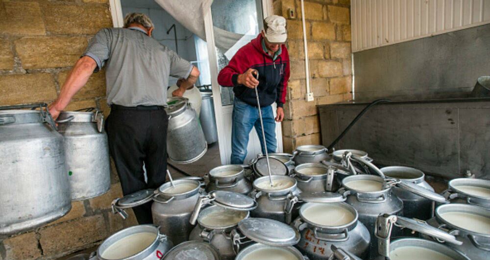 Está lista la ruta de trabajo conjunta para acelerar la industrialización del sector lácteo en Colombia. Foto de referencia