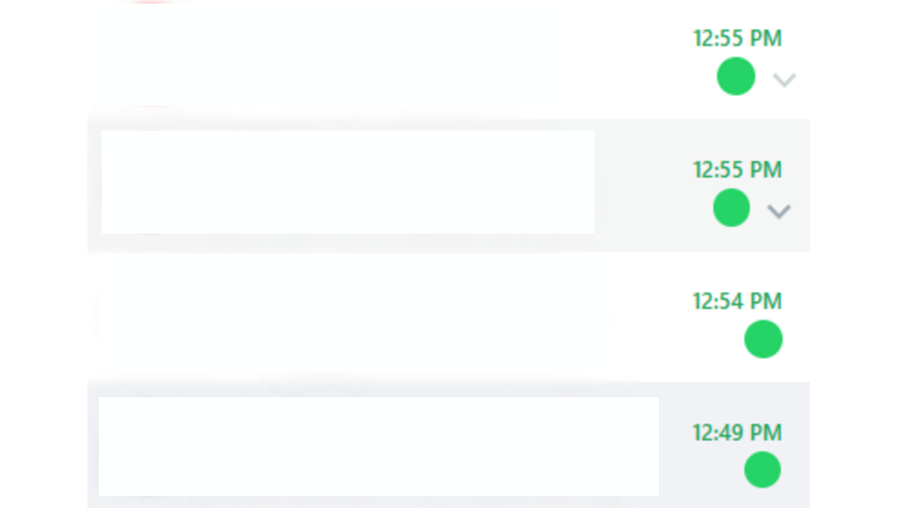 Punto verde de WhatsApp.