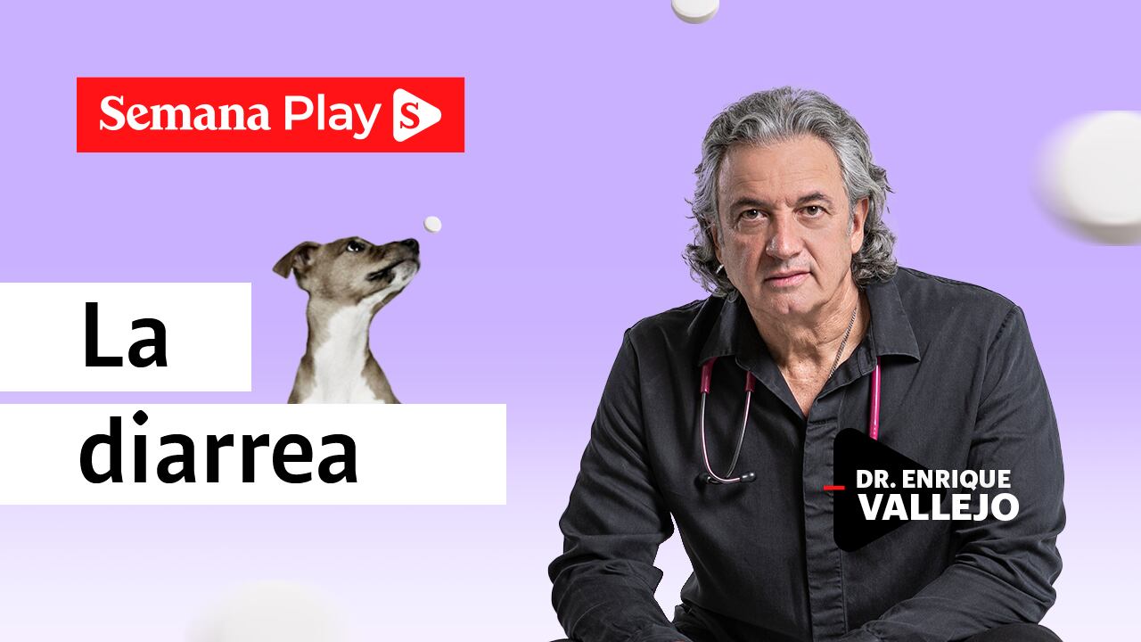 la diarrea | Enrique Vallejo en Salud Animal