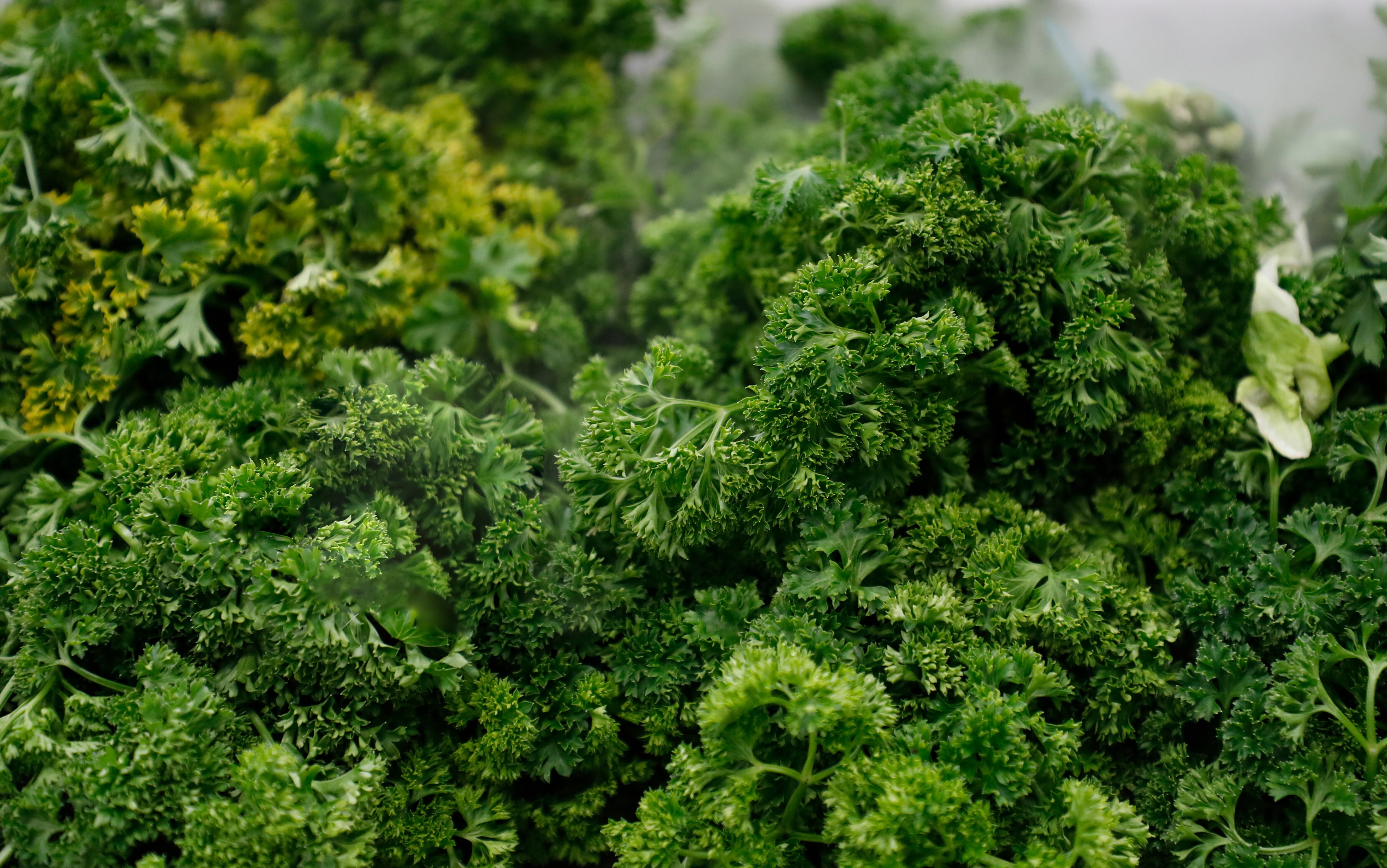 alimentos canasta familiar
supermercado 
Bogotá 3 de dic del 2021
Foto Guillermo Torres Reina / Semana