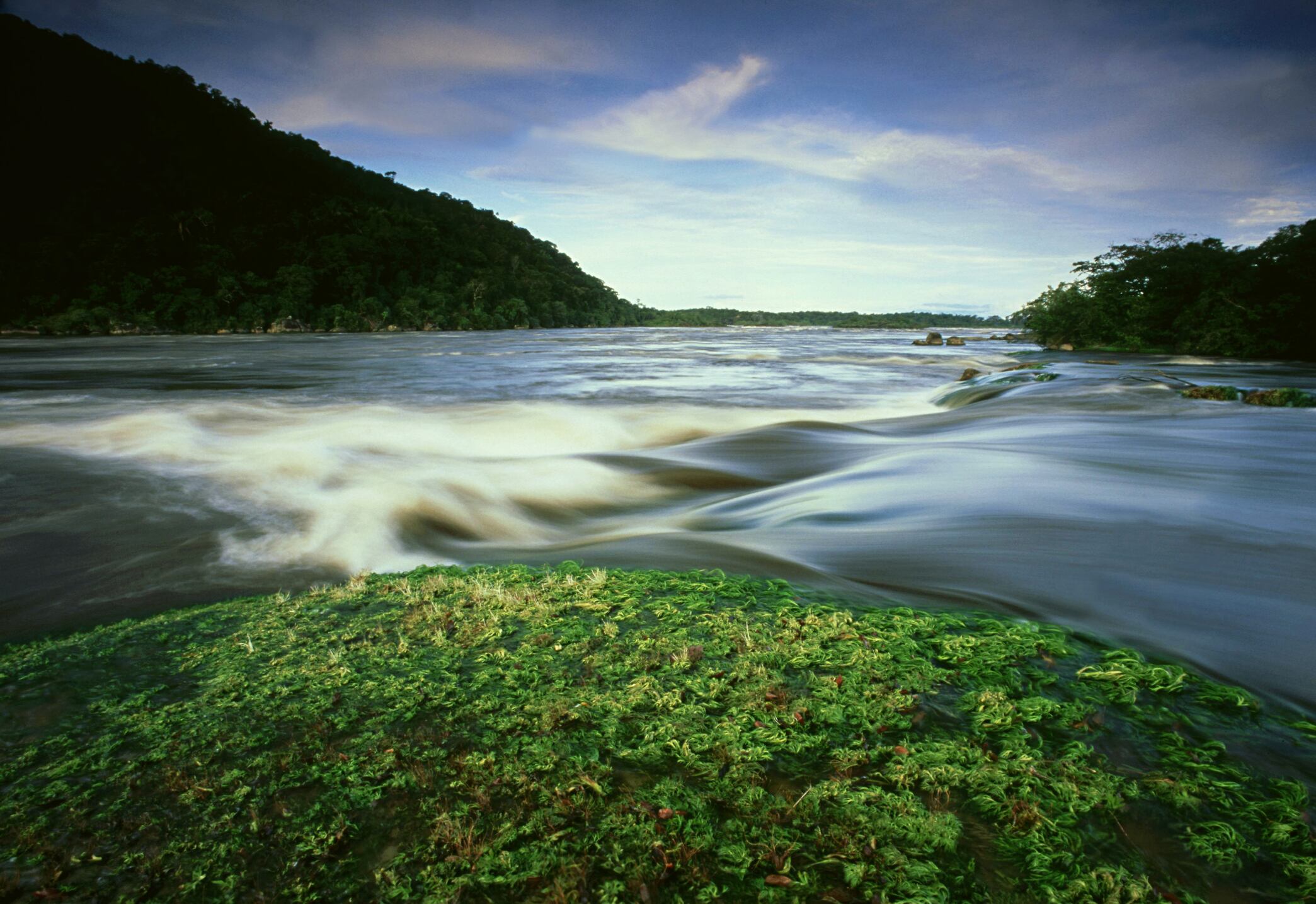 Parque Nacional Natural El Tuparro.