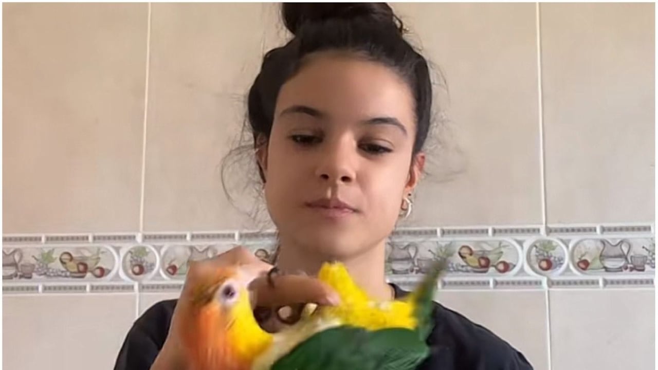 “Vamos a enseñarle a la gente todos los trucos que sabes hacer”, señala la mujer comenzando el video.