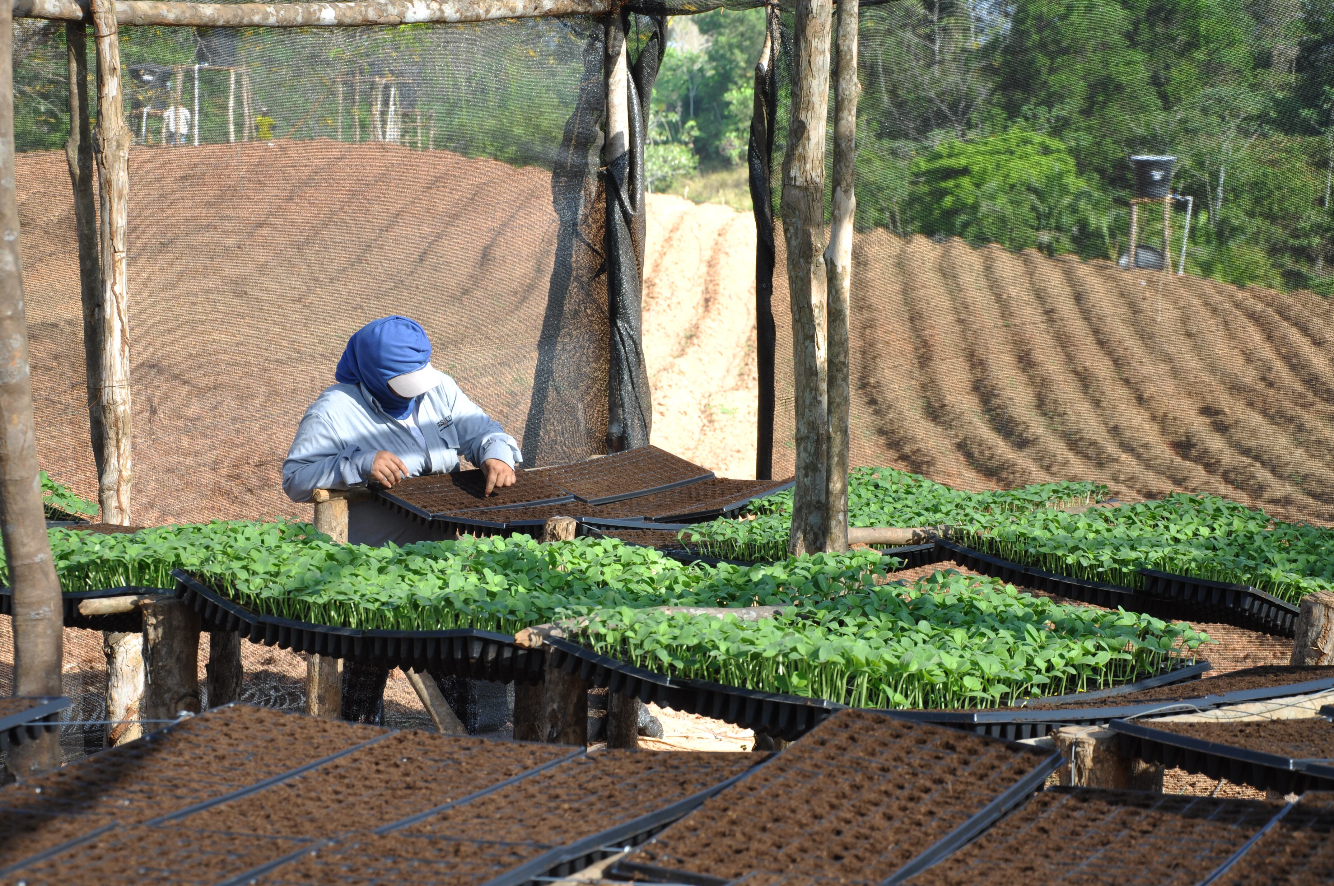 El sector ha realizado inversiones de 637 mil millones de pesos, en materia ambiental, para que los territorios mineros sean sostenibles.