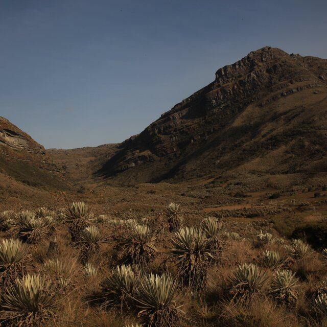 Sumapaz: del cielo a la tierra