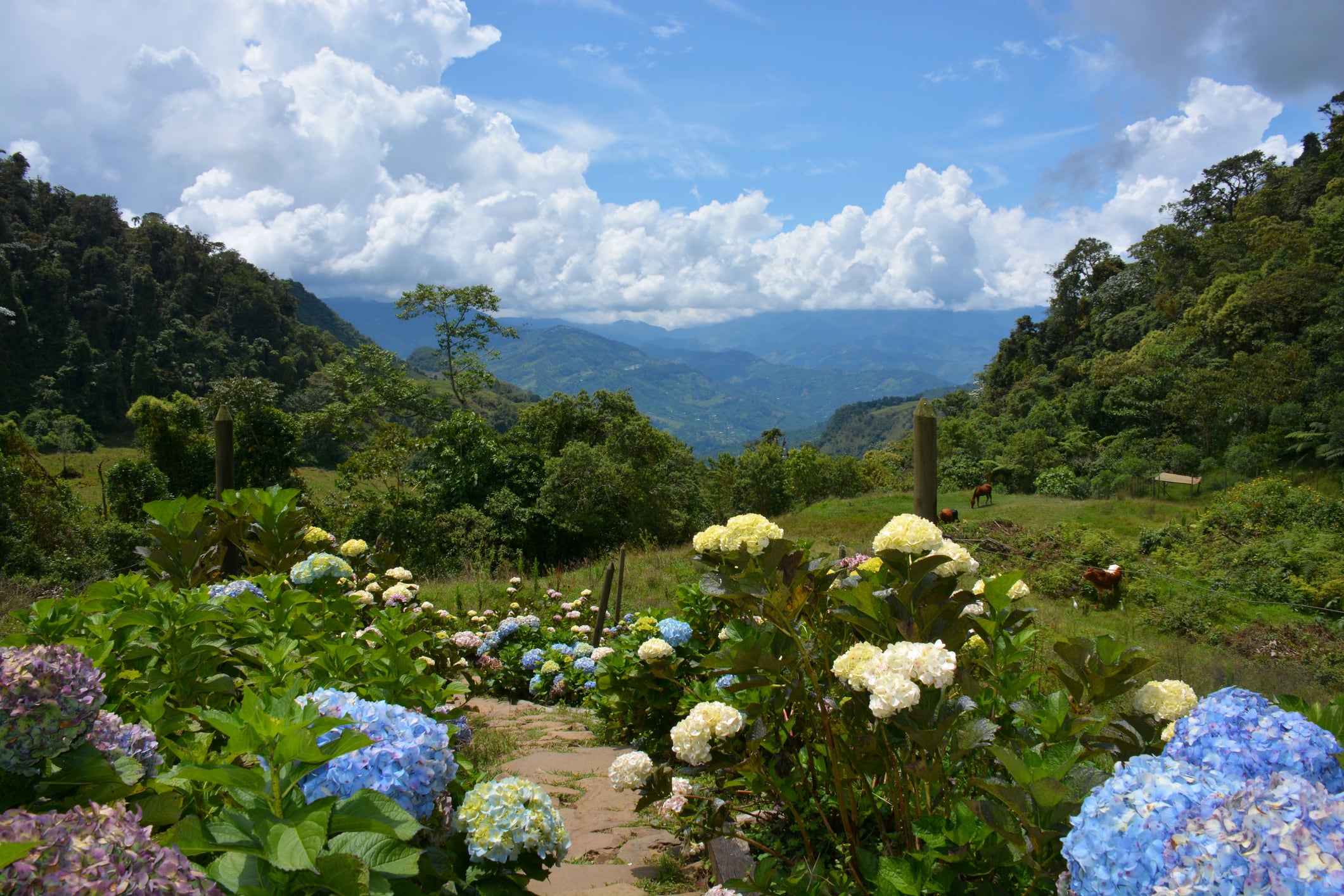 Jardín, Antioquia