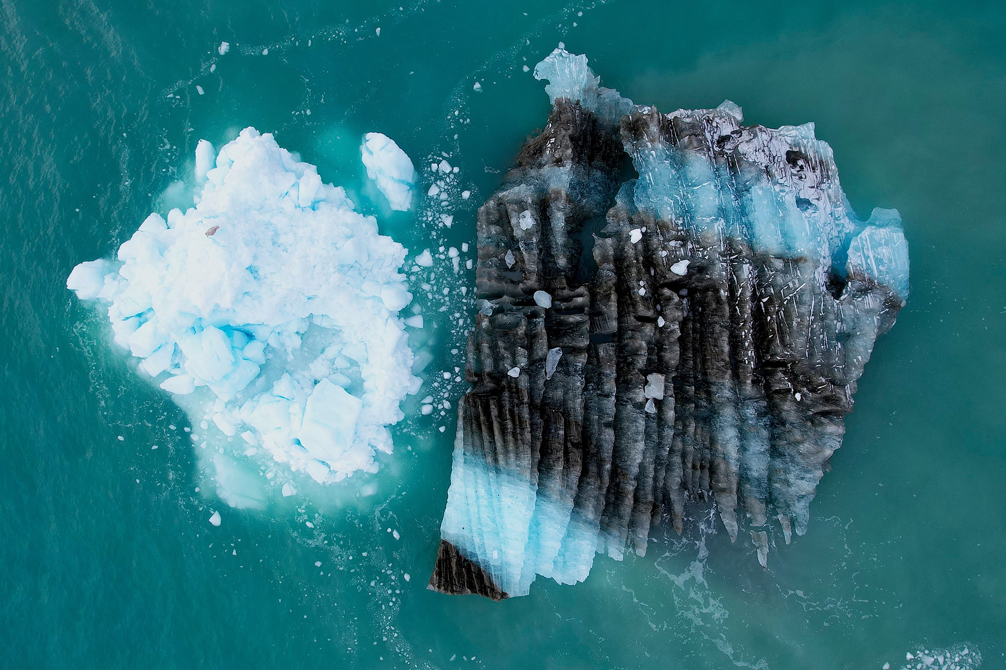 Fotos de la semana 17 sept