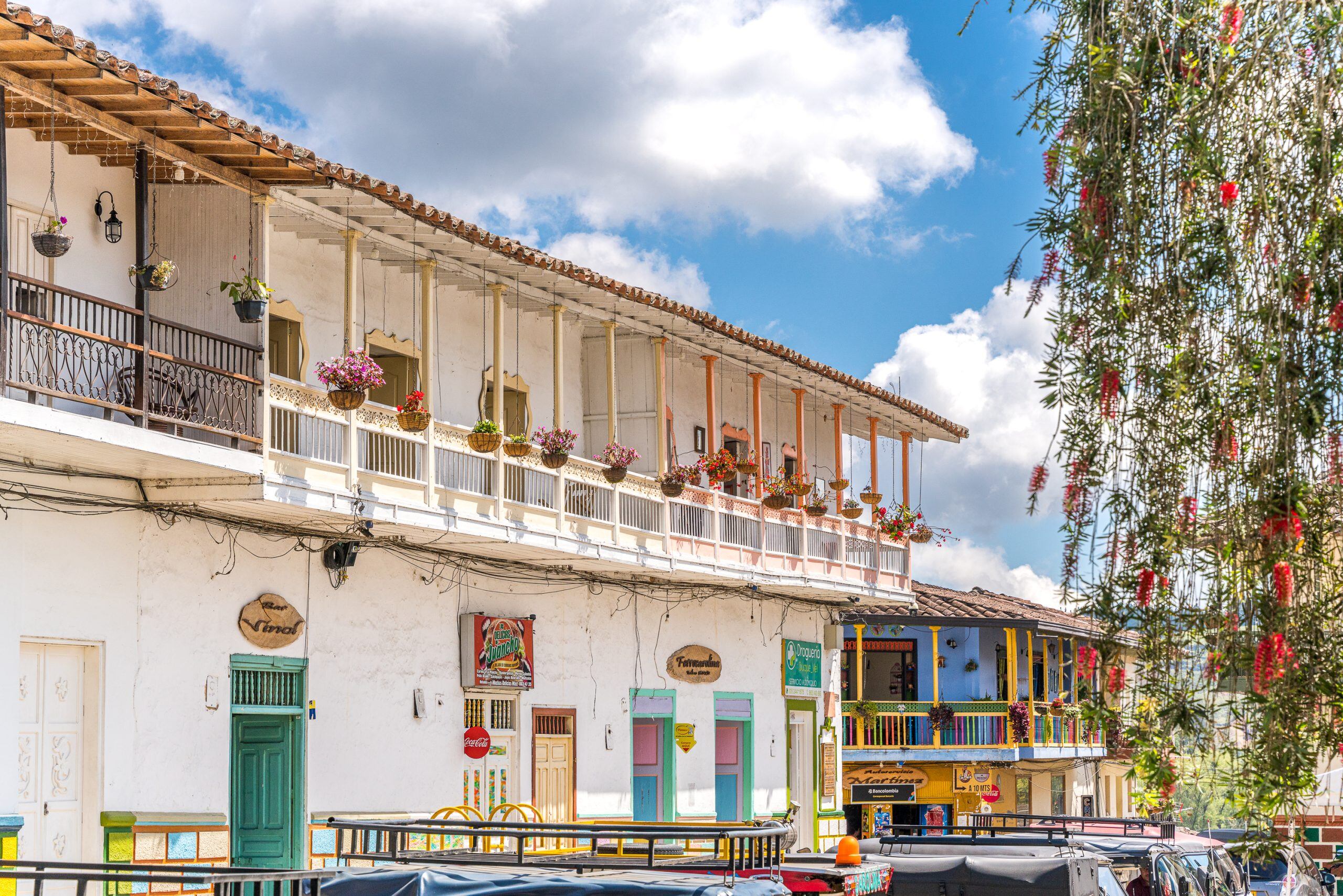 Carolina del Príncipe