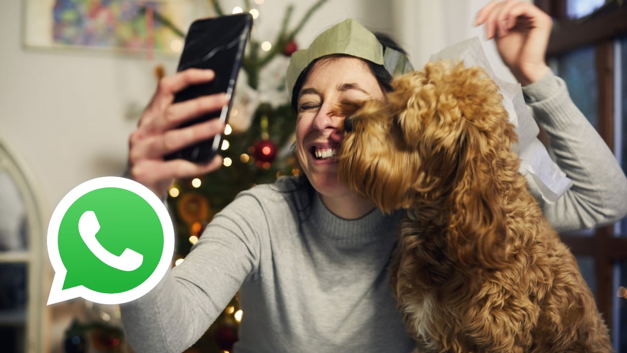 El humor breve se impone en los grupos de WhatsApp durante la celebración del 24 de diciembre.