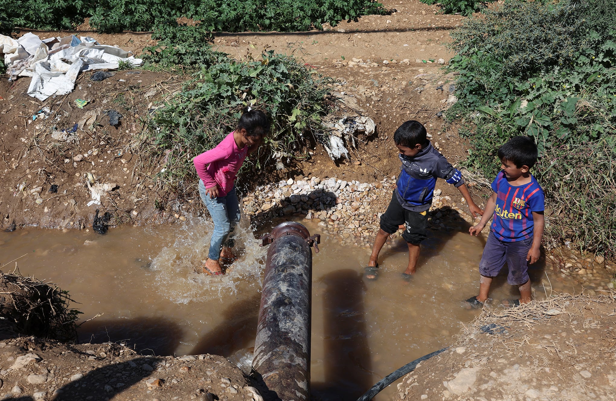 En imágenes : Brote de cólera en los campos de refugiados sirios del Líbano