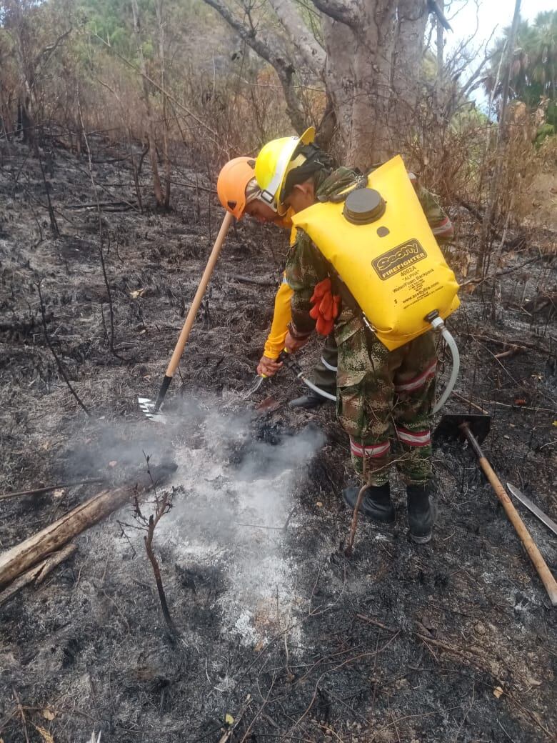 Unidades especiales del Ejército Nacional acompañaron las labores en tierra