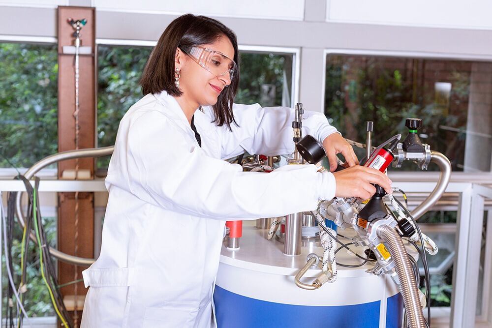 Este programa ha galardonado a 44 mujeres por sus investigaciones en diferentes campos desde el 2009, integrándolas el grupo de más de 3.000 mujeres en 115 países que desde 1998 premian L’Oréal y la Unesco.