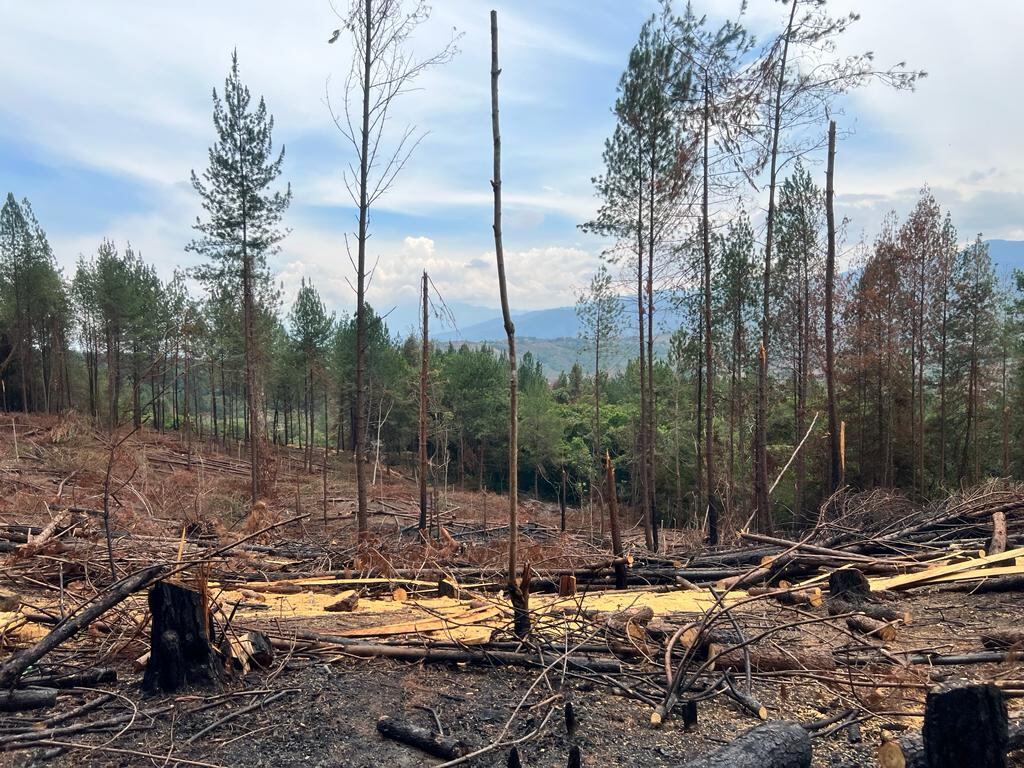 Terrible situación en el Cauca: presuntos invasores atacaron a población civil y generaron incendio forestal.
