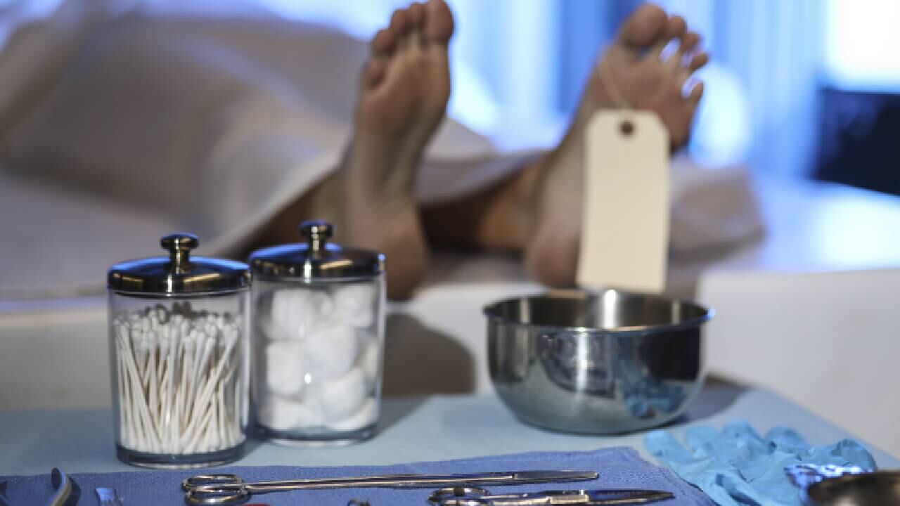 El hombre señalado de recibir los restos humanos deberá comparecer el 7 de junio (imagen de referencia).