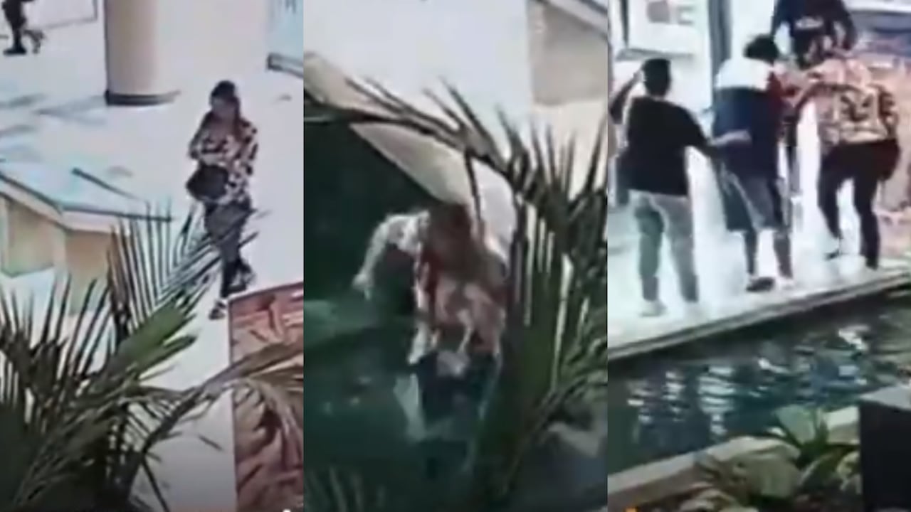 La mujer venía distraída con su teléfono celular y terminó probando el agua luego de tropezar.