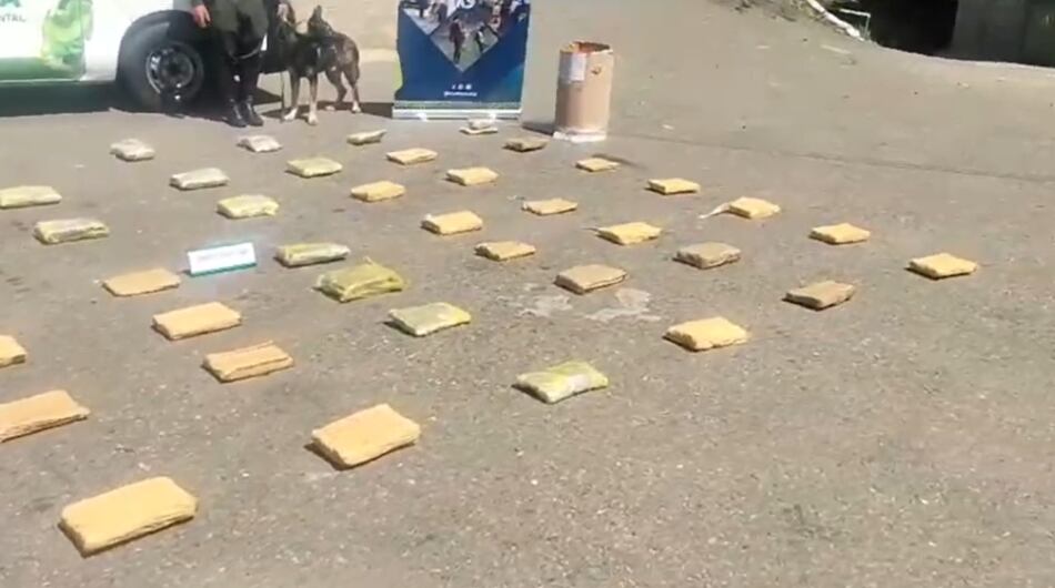 Hallazgo de marihuana en Medellín.