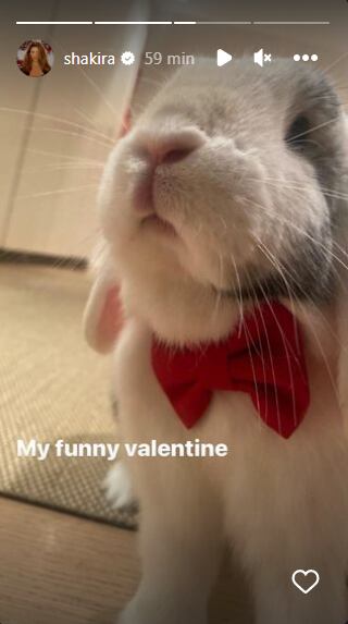 Este es Toby, el conejo de Shakira y sus hijos. Foto: Instagram @shakira.