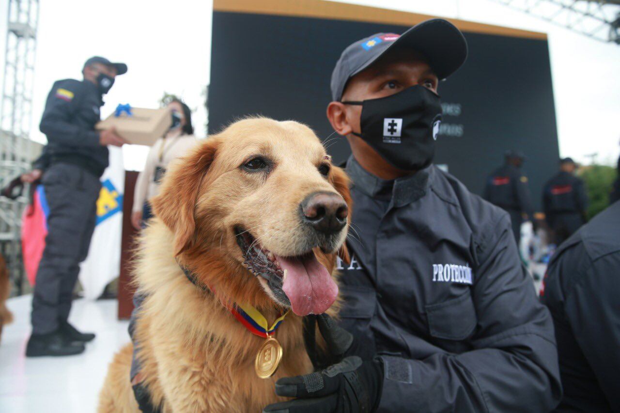 Condecoran y jubilan a 15 perros que prestaron su servicio a la Fiscalía