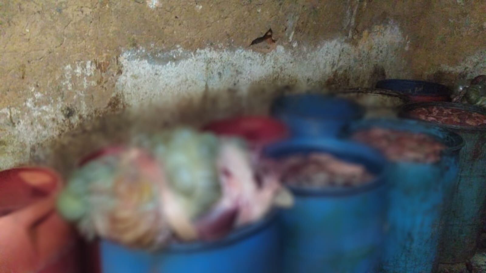 El operativo interinstitucional se realizó en 17 establecimientos dentro de este sector
industrial.