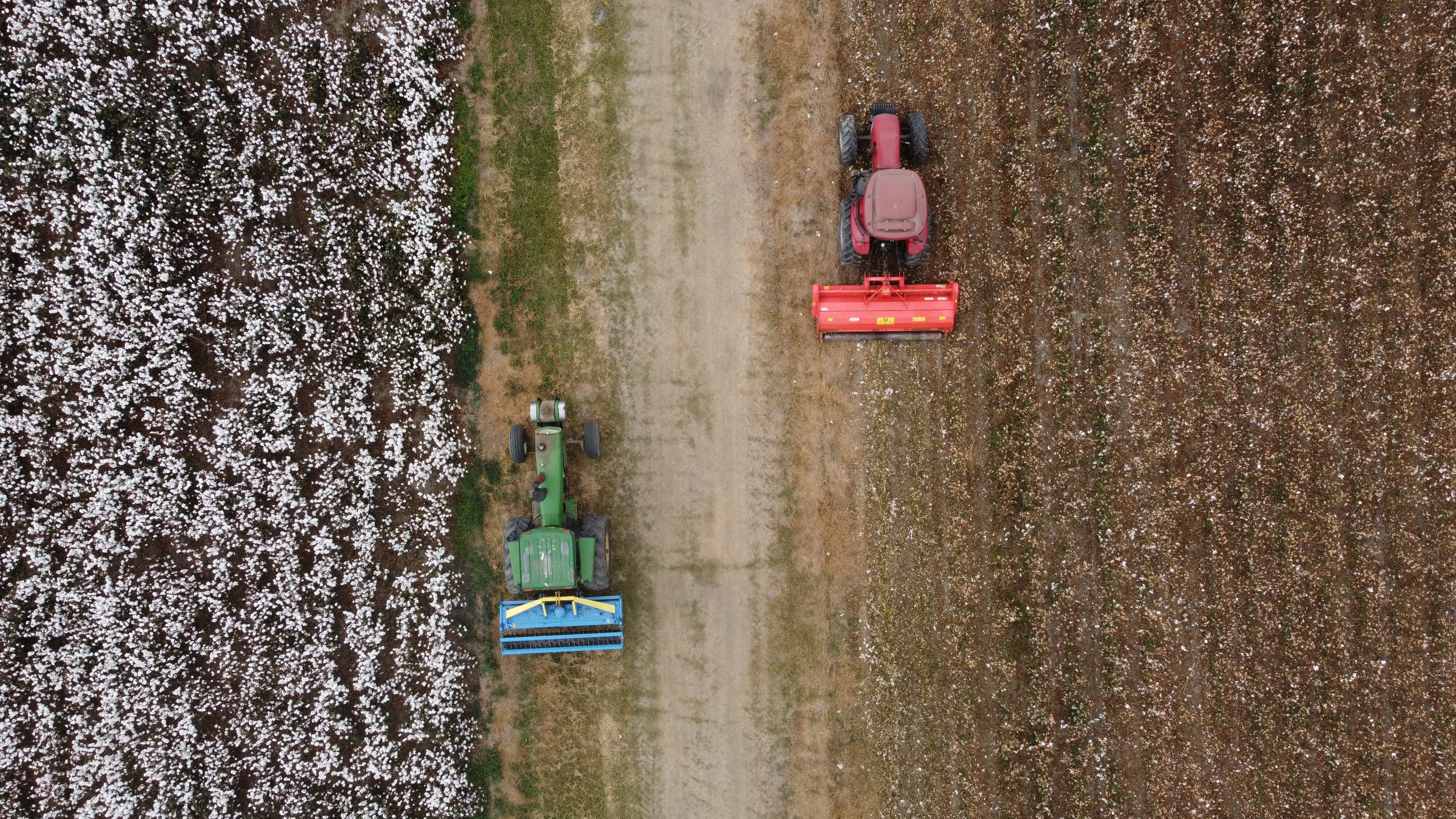 La meta es incrementar su producción de 15.000 a 45.000 toneladas entre 2022 y 2025.