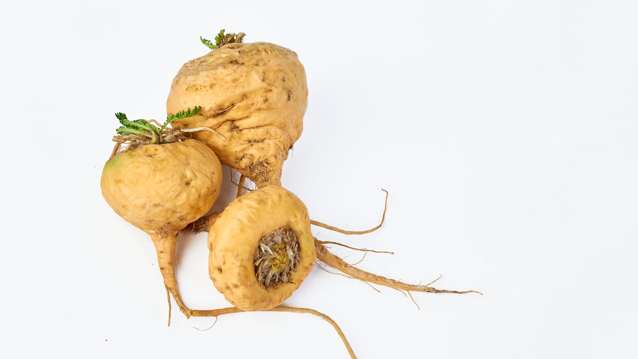 La maca es una fuente natural de compuestos antioxidantes, vitaminas y minerales que, tras ser absorbidos en el organismo, regulan el funcionamiento de los sistemas vitales.