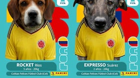 Fundación en Cundinamarca lanza álbum inspirado en el Mundial para promover la adopción de perros