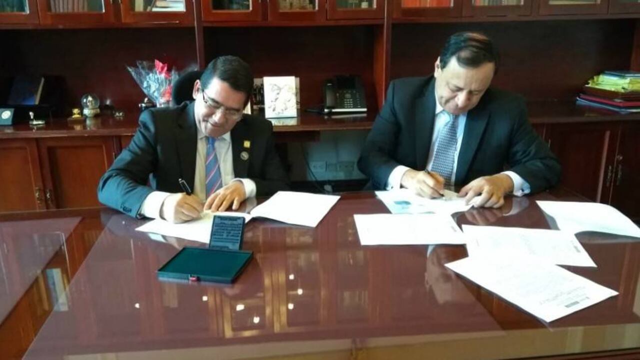 Es "en atención a la necesidad de hacer un reconocimiento de la maternidad como inmenso esfuerzo que hacen las mujeres al reproducir vida y de su esencial rol en la crianza, cuidado y desarrollo de sus hijos"