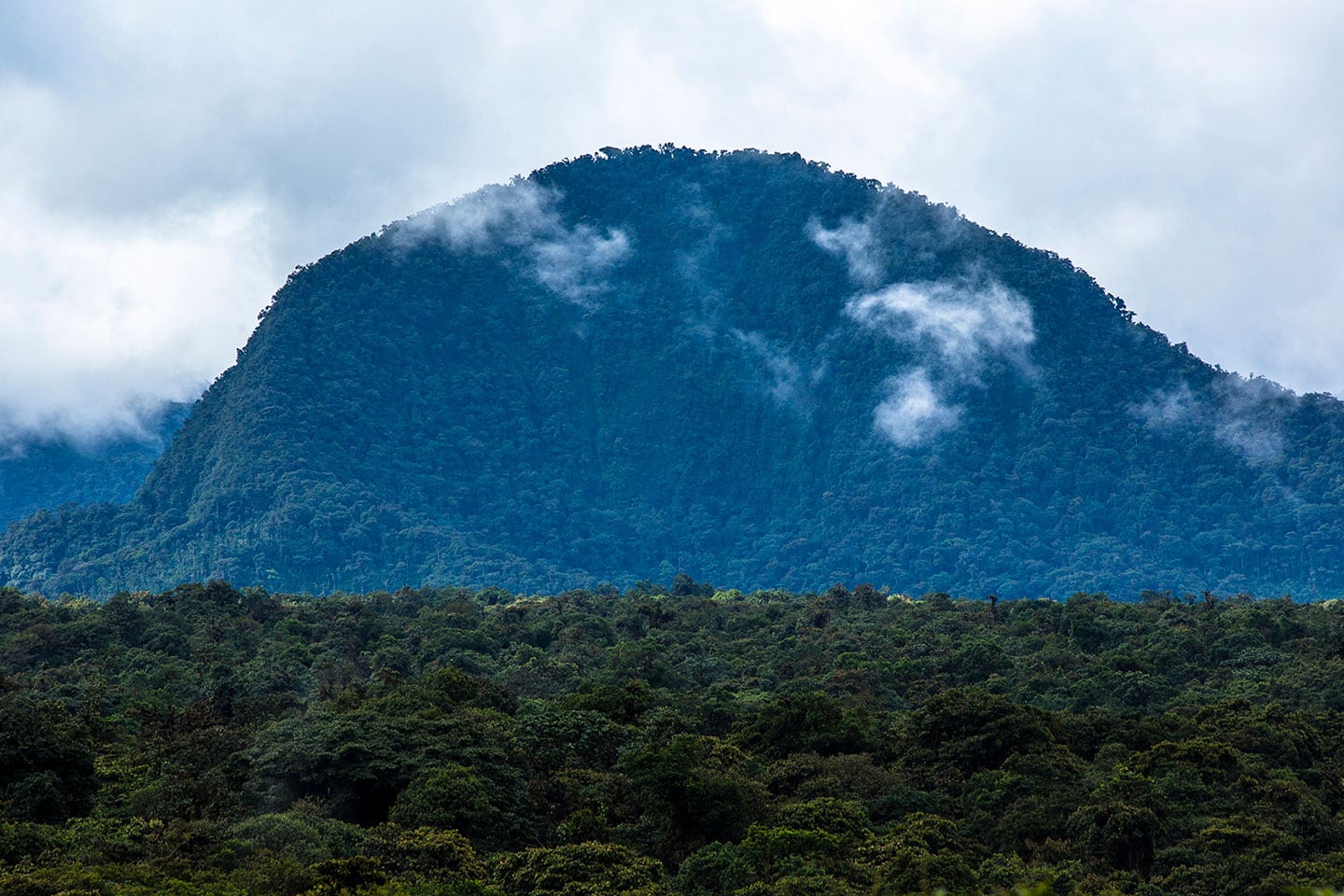 Desde hace 21 años, le Feria de Aves de Ricaurte (Nariño) ha abierto espacios para el aviturismo y el turismo ecológico.