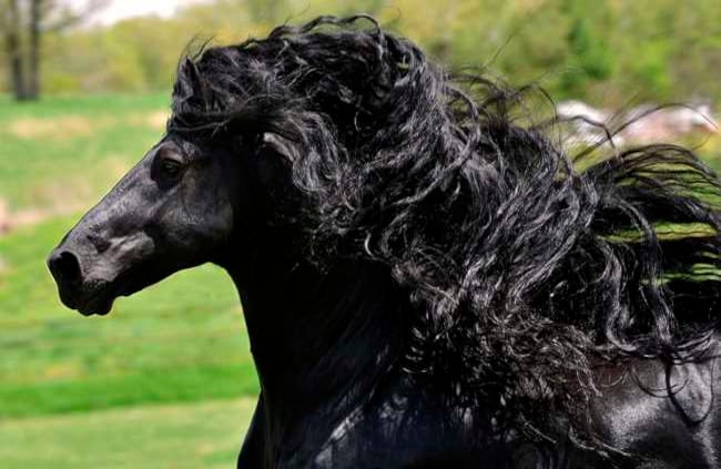 Foto: Cally Matherly