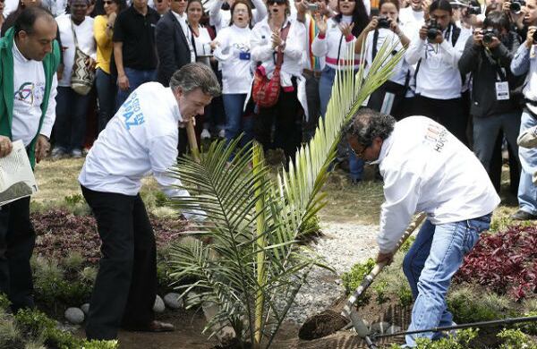 El presidente Santos y el alcalde Mayor Gustavo Petro sembraron juntos una palma, en el Centro de Memoria Histórica, como muestra de apoyo a las víctimas. Fotografía: Guillermo Torres / SEMANA.