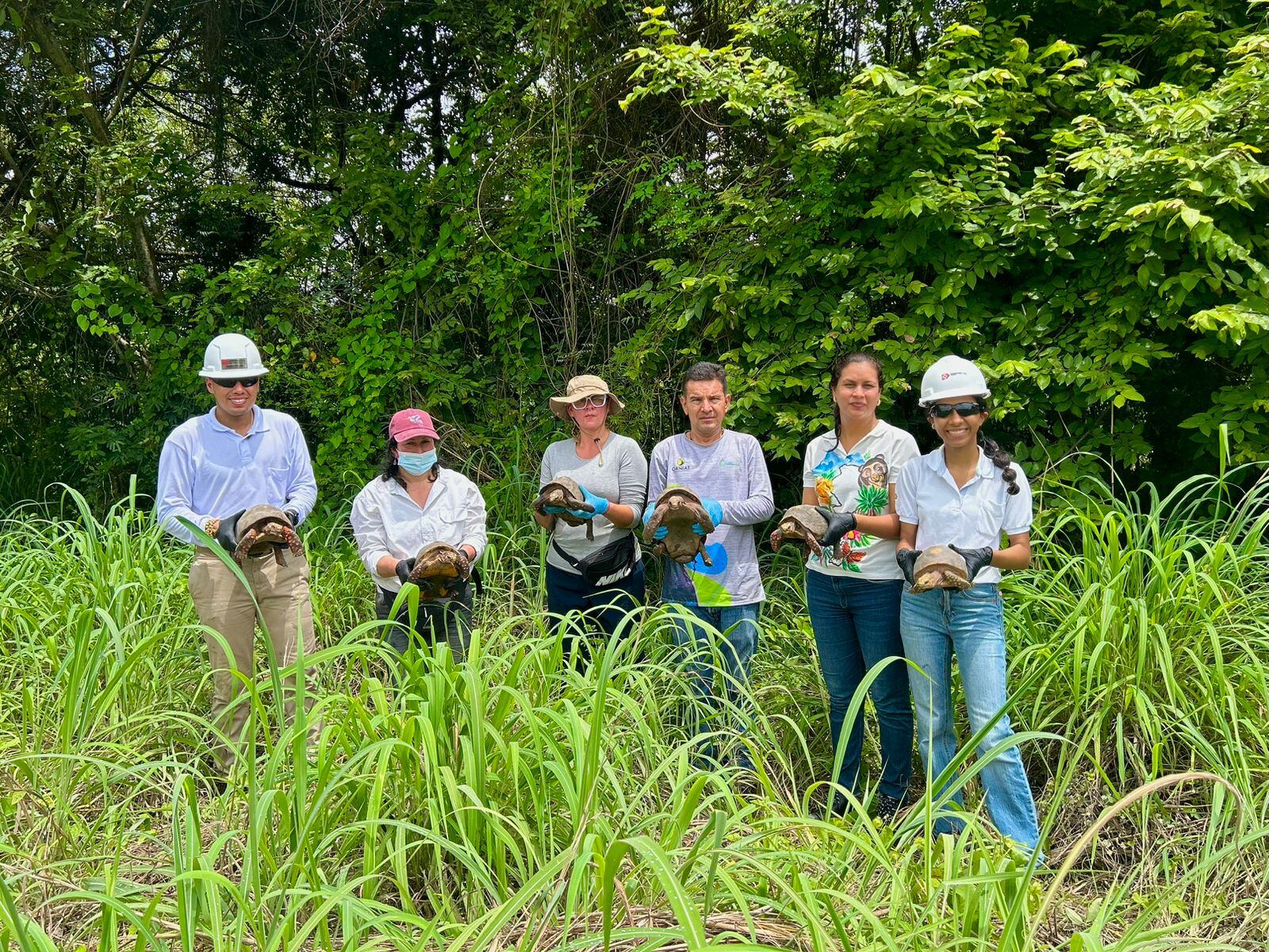 La jornada de liberación de fauna silvestre fue realizada en una zona receptora ubicada en las áreas de conservación de la mina Pribbenow, en Cesar.