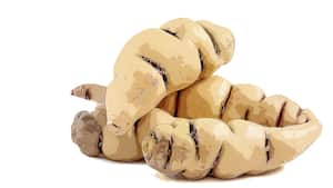 Los cubios contienen compuestos antibióticos.