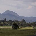La protección de ecosistemas como el río Bogotá y los humedales cercanos, hace parte de la línea estratégica de sostenibilidad de El Dorado.