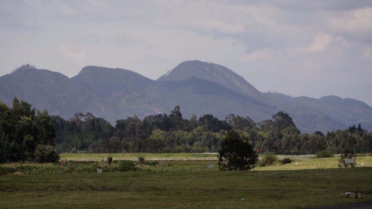 La protección de ecosistemas como el río Bogotá y los humedales cercanos, hace parte de la línea estratégica de sostenibilidad de El Dorado.