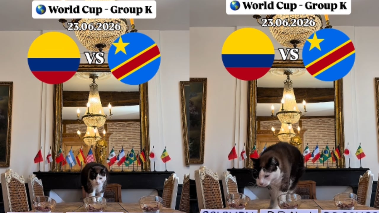 Nimbus, el gato que ha acertado con resultados en el Mundial 2026, dio la predicción para el partido Colombia vs. RD Congo.