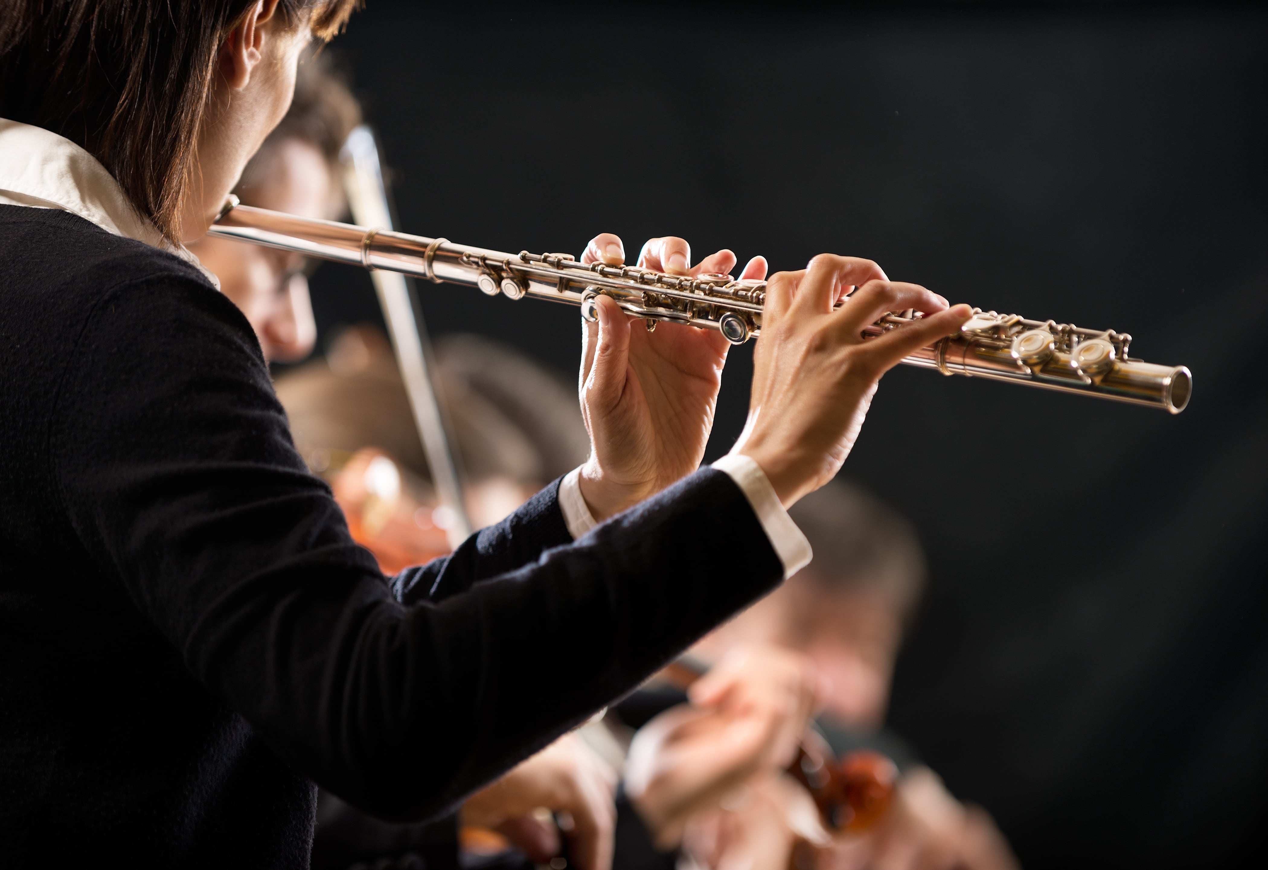 instrumentos musicales