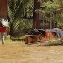 En la AETCR Jaime Pardo Leal, situada en la vereda Las Colinas, la paz trajo una nueva vida a un grupo de personas que dejaron los fusiles y hoy construyen su vida como una extensa familia que le apuesta a varios proyectos productivos.