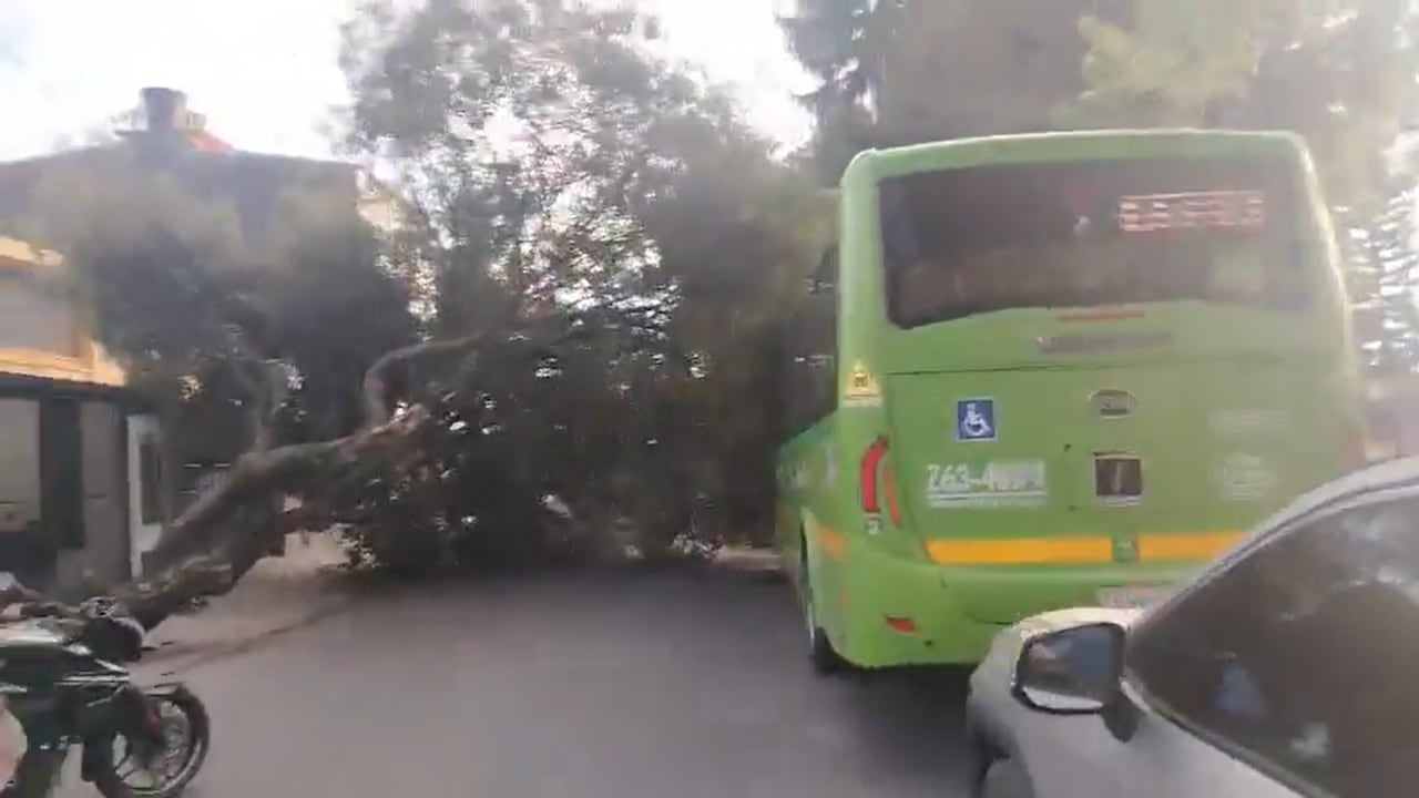 Árbol cae sobre un SITP.