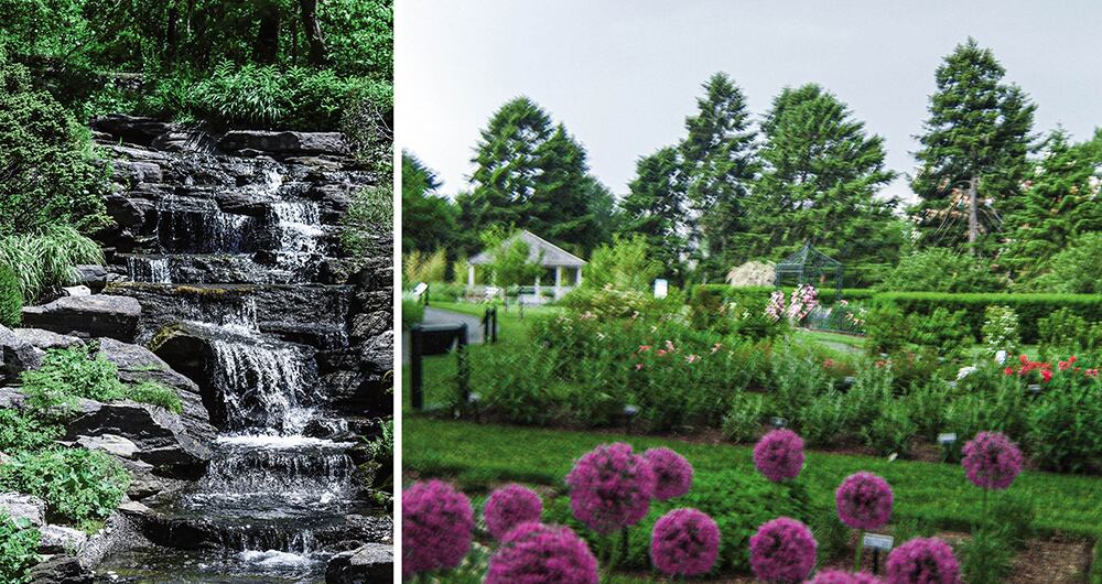 El Jardín Botánico de Nueva York es uno de los más antiguos del mundo. Fue fundado en 1891 y se extiende a lo largo de un kilómetro en el Bronx.