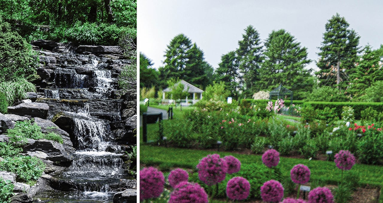 El Jardín Botánico de Nueva York es uno de los más antiguos del mundo. Fue fundado en 1891 y se extiende a lo largo de un kilómetro en el Bronx.
