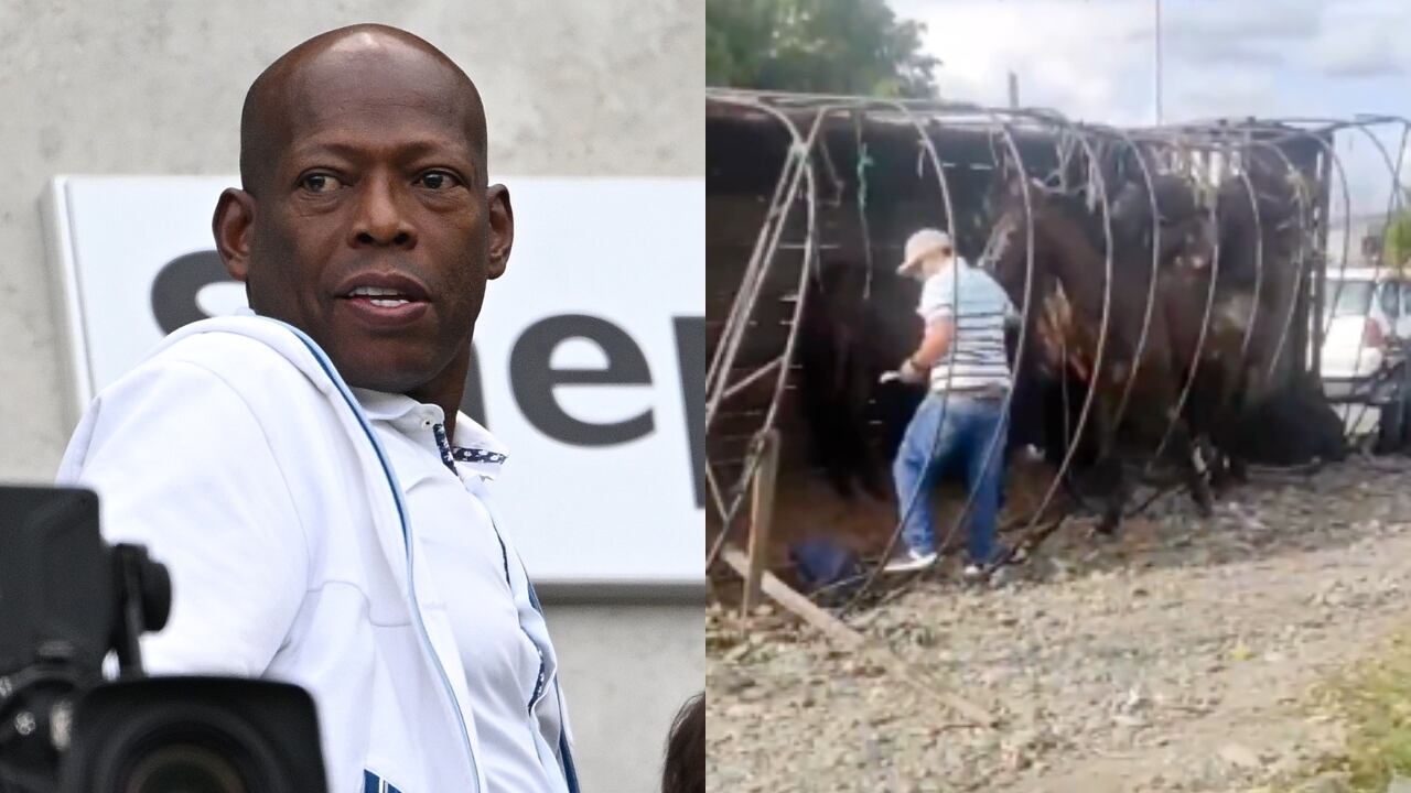 Faustino Asprilla y el accidente del camión con su caballos.