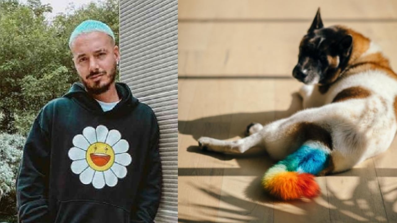 J Balvin se defiende: responde tras acusaciones de maltrato a su perro