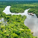 Vista aérea de la selva amazónica en Perú, América del Sur. Bosque verde. Vista panorámica. Selva en Perú.
