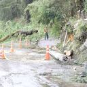 Arboles, vía cerrada