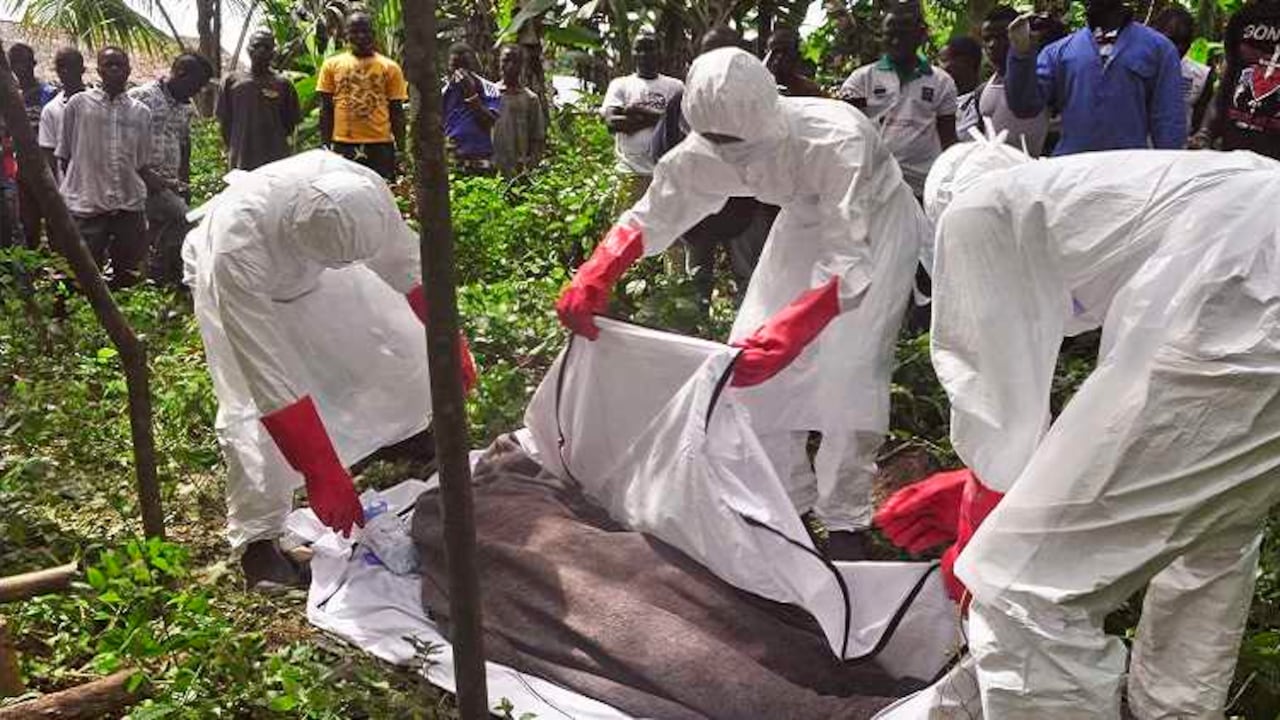 Las pandemias en el mundo.