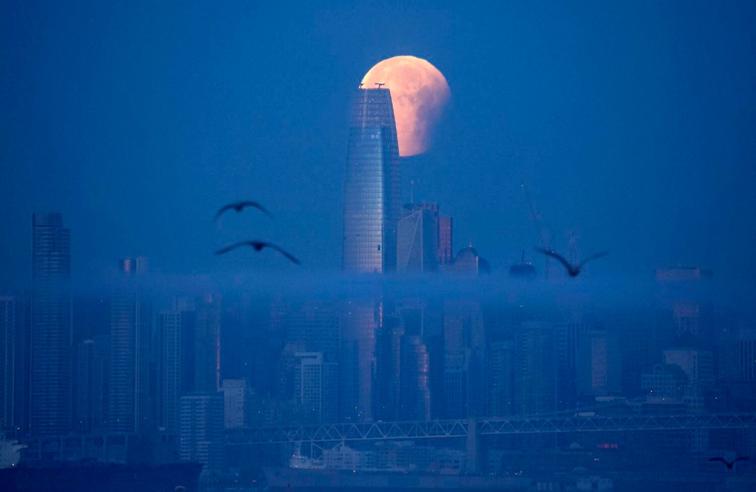 Estados Unidos  Paisaje nocturno Un fotogénico fenómeno natural deleitó a los amantes de la luna esta semana cuando la sombra del planeta Tierra la bañó de rojo. En esta ocasión, la súper luna de sangre azul decoró el cielo de San Francisco, California.  AFP/Yasin Akgul